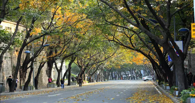 【阿狸地产说】重庆记忆—— 主城中秋旅游打卡景点，不拍洪崖洞也能霸屏朋友圈