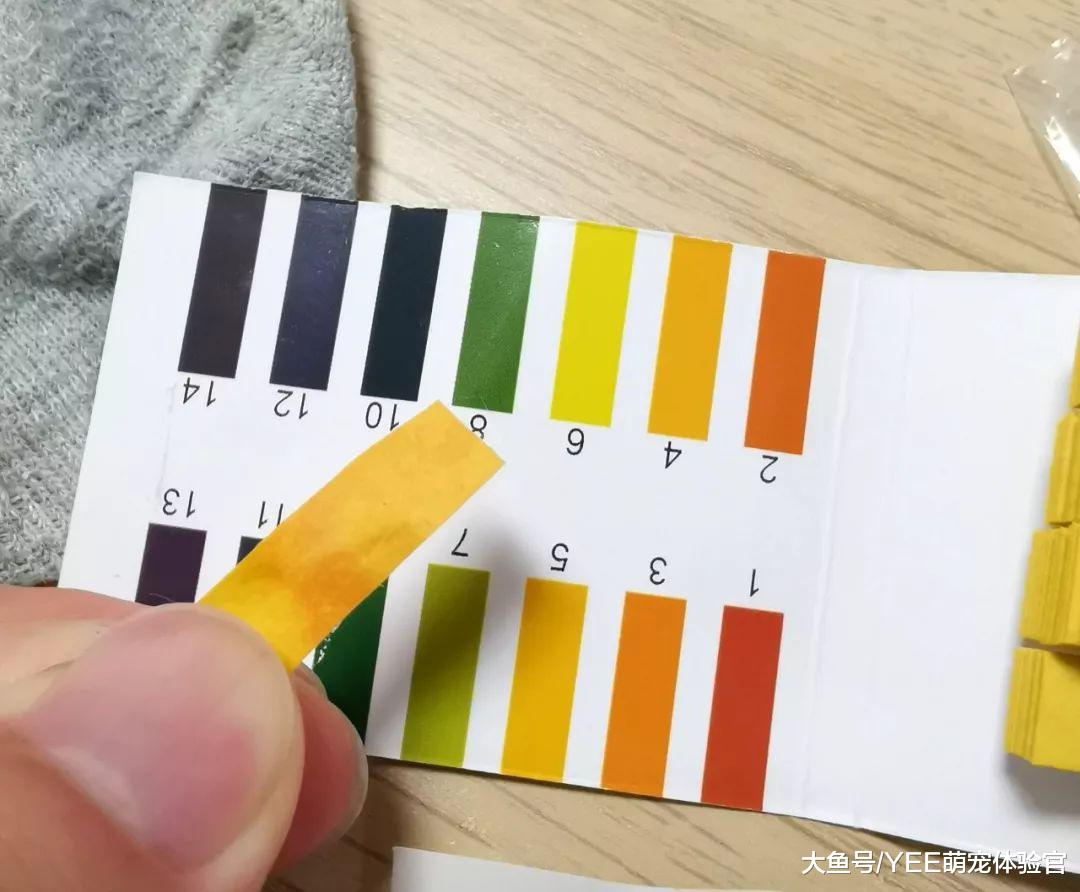 鱼友入门：从检测酸碱度到调酸技巧