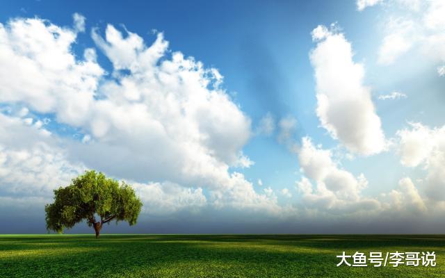 生命里，有风有雨，更有阳光！