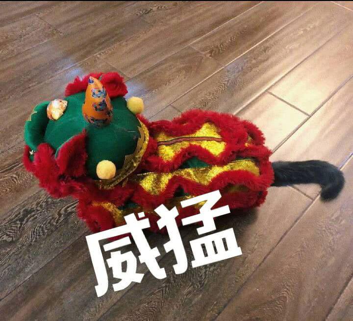 年夜飯的魚差點讓貓吃了，年30真心改吃貓肉了吧！這個笨貓