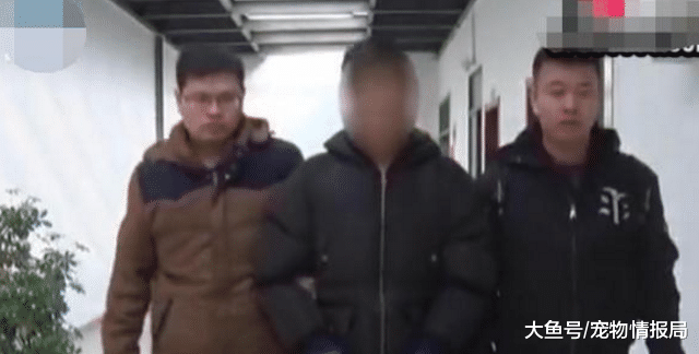 女子外出遇歹人，被拖进草丛数10分钟，事后安然无恙走出来？