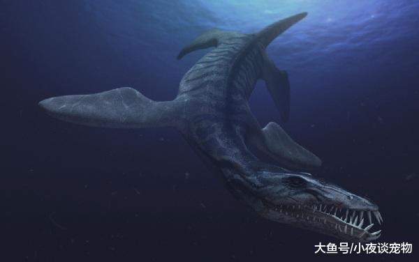 上龙和沧龙有什么区别，上龙于沧龙比起来谁更厉害