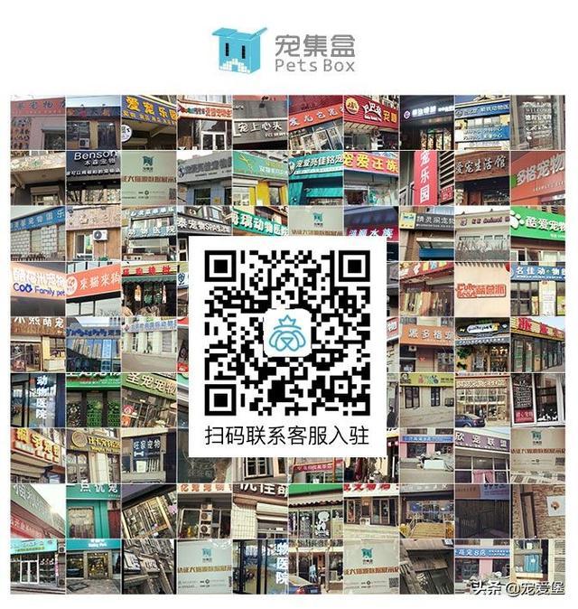 全国数百家宠物店都在做这件事——营业额翻倍, 做到这点就够了!
