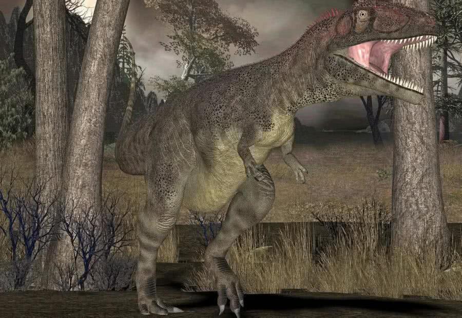 侏罗纪时期最强的恐龙，图1站在食物链的顶端，图5恐龙之王