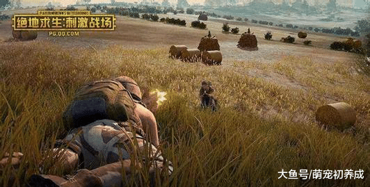 绝地求生：羡慕别人经常吃鸡吗，那些老司机们，原来是这样玩的