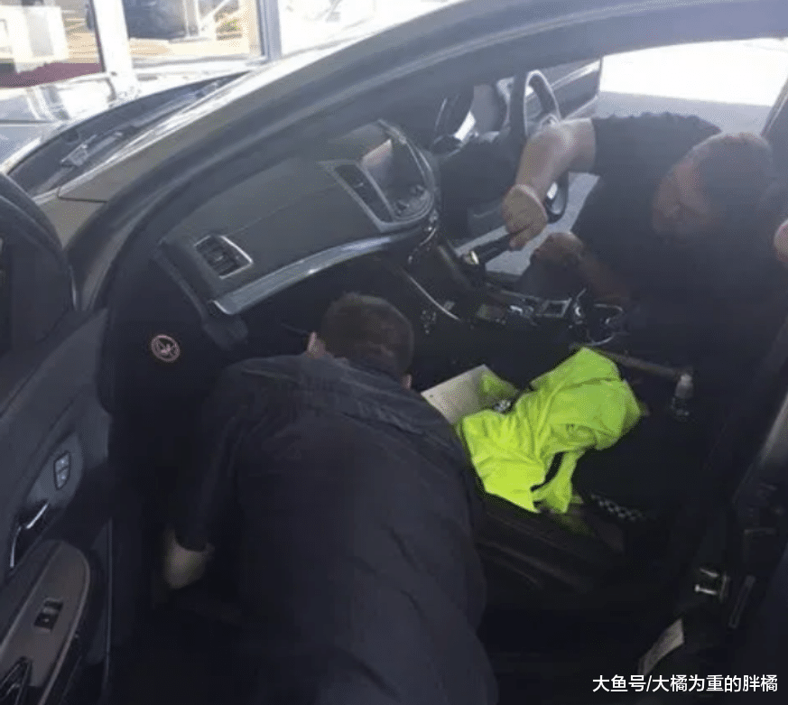 小橘猫被困在高速路上，小伙封路救猫，却被小橘猫“戏耍”了三次