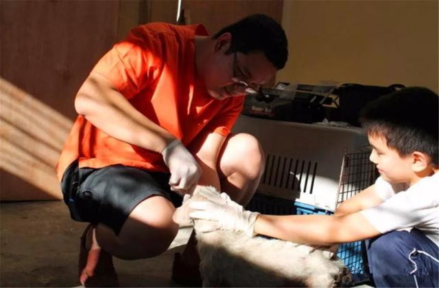 少年致力救助流浪狗, 努力为狗狗买食物, 受众人帮助后创办救助站