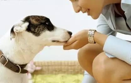 狗狗: “谢谢你喜欢我! 不过请高抬贵手, 不要这样对我! ”