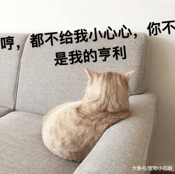 美女小姐姐，这么“不正经”的风，还是不要出门了吧，多尴尬啊！