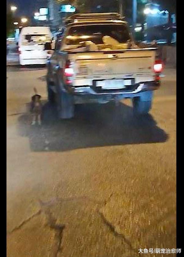 夫妻开汽车搬家遗弃了狗狗，它在大马路上疯狂追赶，好让人心疼！