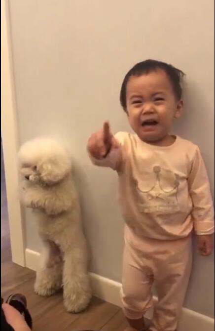 主人用拖鞋打宝宝和狗，宝宝哭指：打我可以，绝对不能打我的狗狗