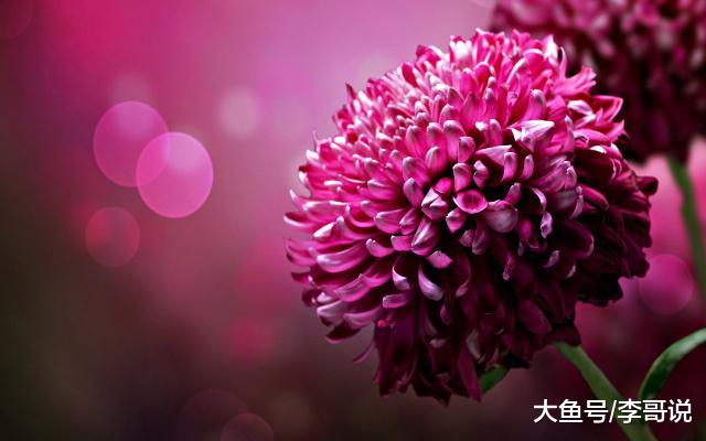 50岁以后，赢在心态！