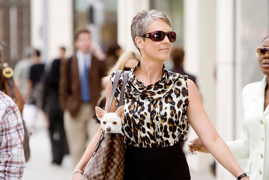 就是要打扮我的狗！又美又拽的女王范儿，主人的口袋已掏空