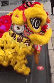 爆笑GIF图：舞蹈系女生能给你的生活带来更多的可能