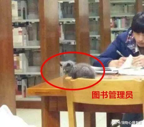 大学生拿禁带物品到图书馆, 管理员却闭一只眼: 这魅力无人能抗拒