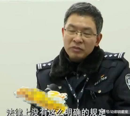 女司机过正常红绿灯，对方闯红灯撞到自己，交警：负次要责任