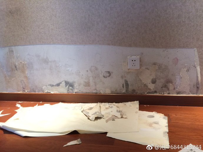 万科房内墙体渗水长达三年，究竟谁来管!