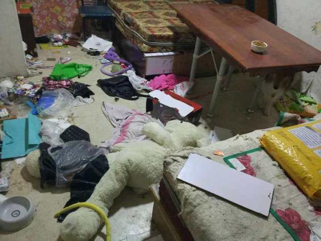 买狗子还送锅？女孩买哈士奇店主送了一口锅，第二天马上知道为啥