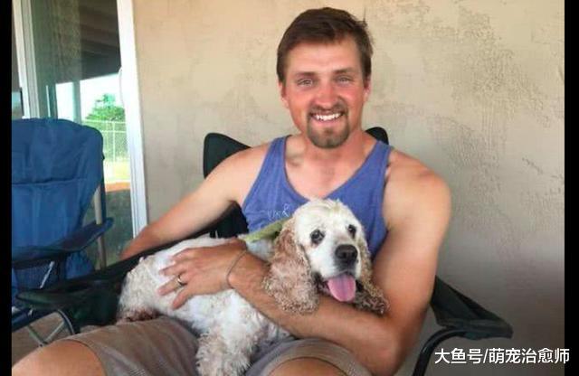 狗狗对前主人忠心耿耿18年，依然摆脱不了被抛弃的命运，好寒心