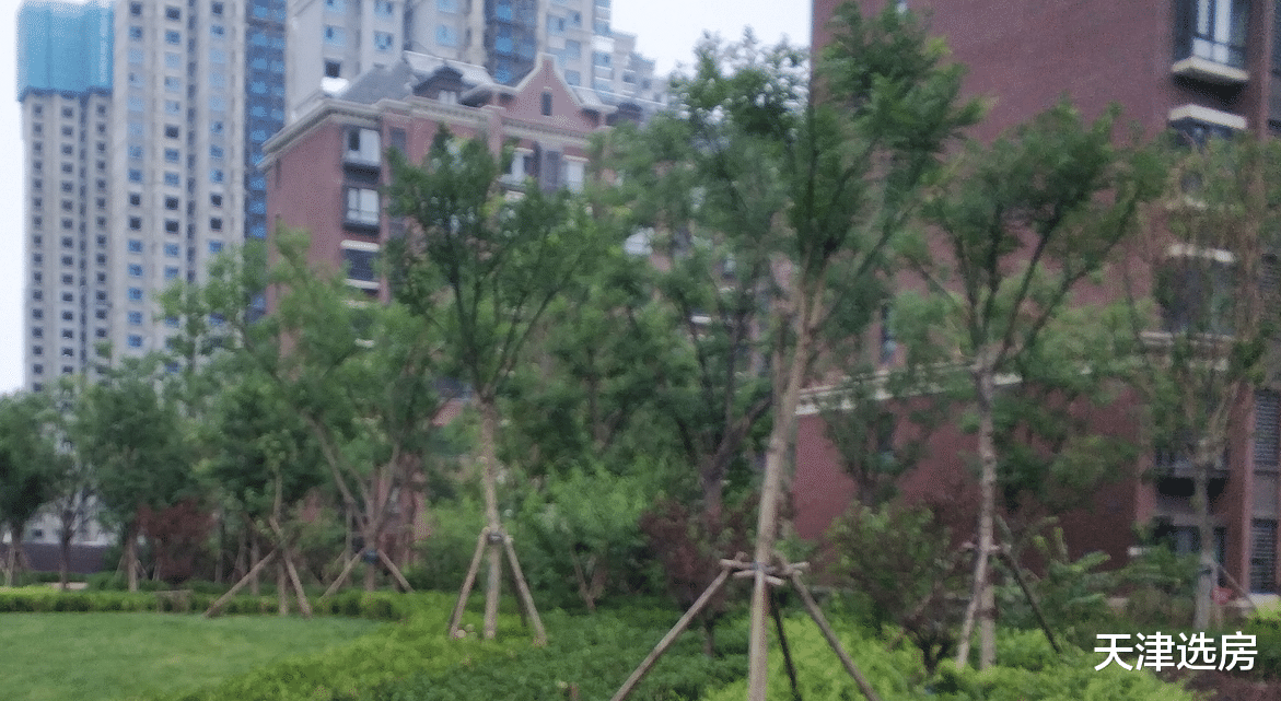 天津，小藤看过的一套房子，半年直降155万，降幅接近40%，为什么？