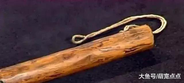 成吉思汗用过的马鞭，姑娘认为值500万鉴宝，专家让站稳再报价