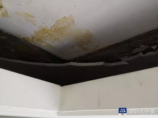 悲剧！400多万新房一天没住天花板发霉！开发商：不在保修范围