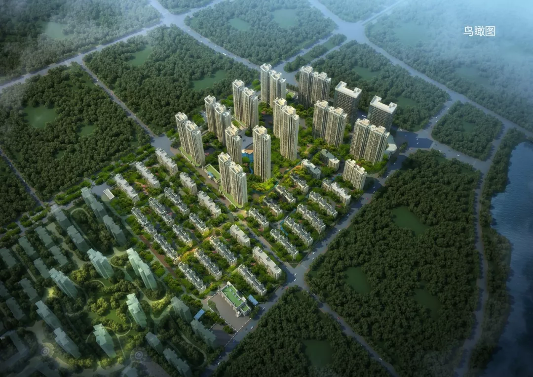 11月第4周武汉19盘入市，年底多个高性价比纯新盘来袭