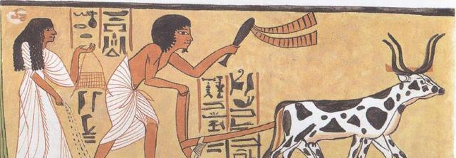 「古埃及」对比古埃及和中国古代的出土文物,谁在造假一目了然