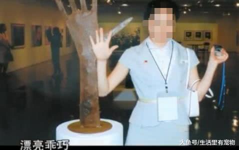 女子結婚不到半年跳樓自殺，父母說出秘密，丈夫疑似同性戀！