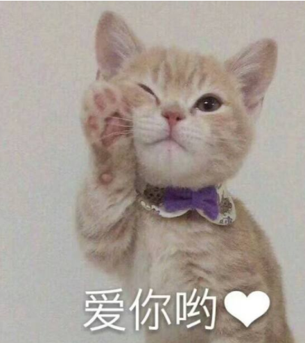 賺翻？120元在拼多多上購買中華田園貓有多可怕