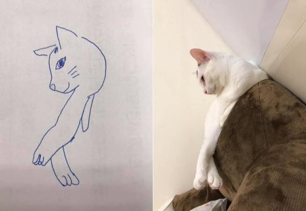 主人画猫咪在网上获千赞，朋友却说她乱画，但看到猫咪后闭嘴了