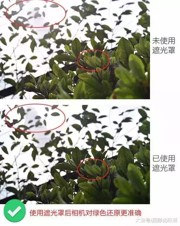 14个摄影冷门技巧, 知道的人很少