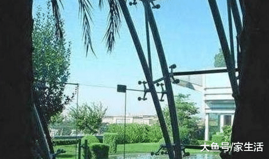 王艳晒出自己家豪宅，自家阳台就能看见故宫，生活仍然像个格格