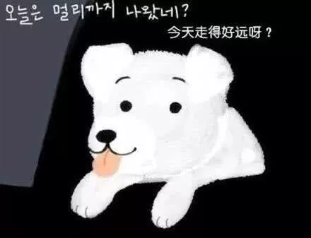被抛弃的流浪狗，它知道自己被抛弃了吗？