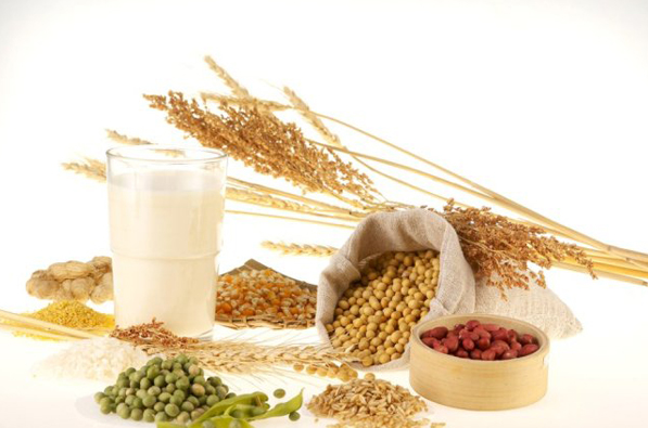 谷物奶是一种蔬菜饮料，低热量，有益于促进身体消化