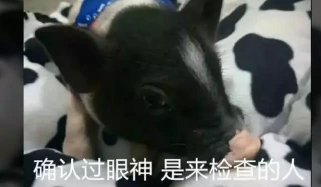 大学宿舍的奇葩宠物，简直一个比一个厉害！查寝时笑到肚子疼