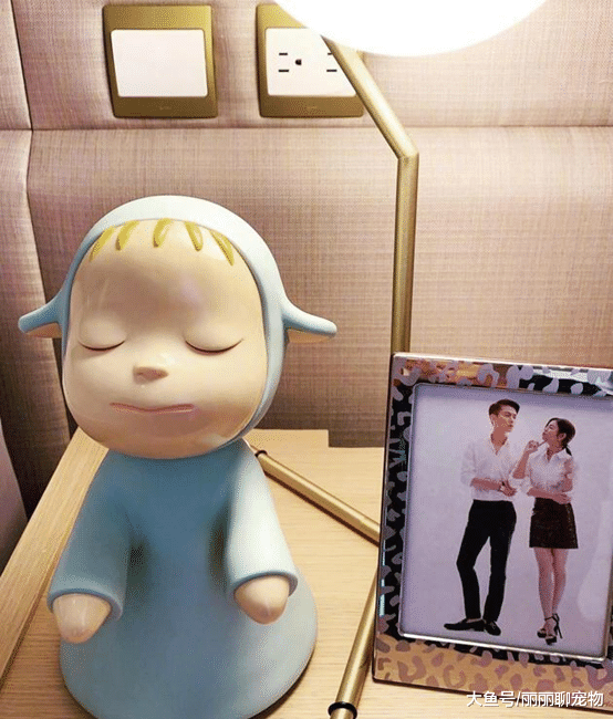 陈晓送梦游娃娃给妻子，陈妍希晒照分享，谁料二人的合照真抢镜！