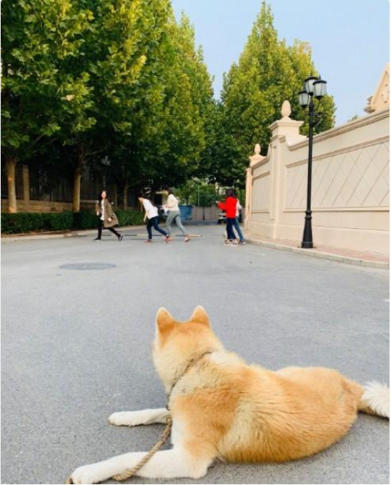 晒晒李亚鹏现实的豪宅，如今跟女儿生活在一起，客厅窗外环境超好