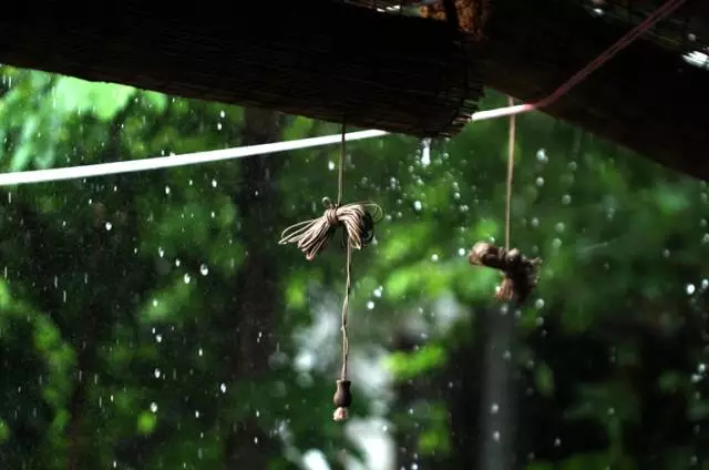 【逃城】猫的伊甸园