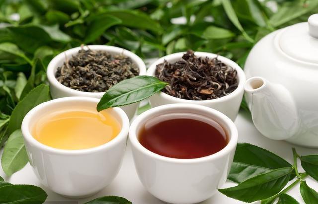 猫咪饮水并非越干净就越好，三种水源将令爱猫患病！