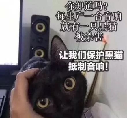 每吃一颗山竹，就有一只猫咪失去爪爪，网友：要被笑死