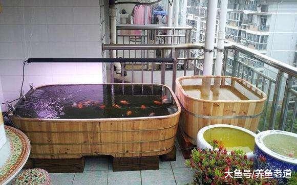 蒙著頭去搞硝化系統，飼養觀賞魚養出來的也是一缸死水！