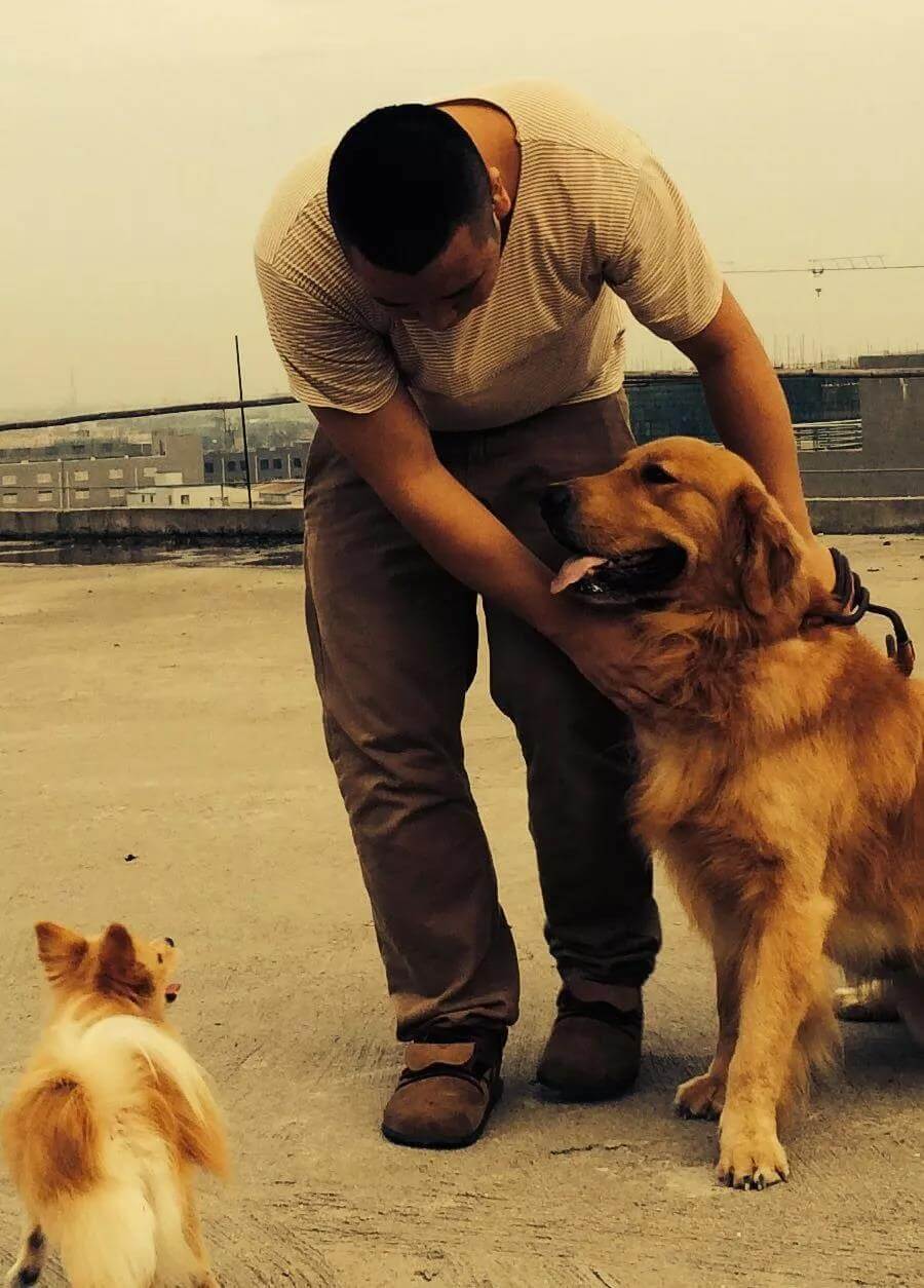 每一条不栓绳的狗后面都可能藏着一个无视社会规则的野蛮人