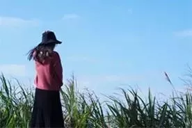 河北省发文！滹沱河沿线大发展！构建路网布局+打造经济带！沿河旁这个教育大盘迎利好！