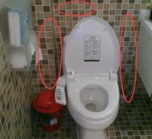 多数人都把马桶两边空着, 愚笨! 瞧老外这么弄, 让人大开眼界