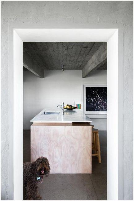 Nicole England|居民的狗和房子