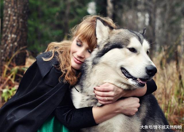 狗狗若有这些行为，其实是在告诉你：它需要你啊！