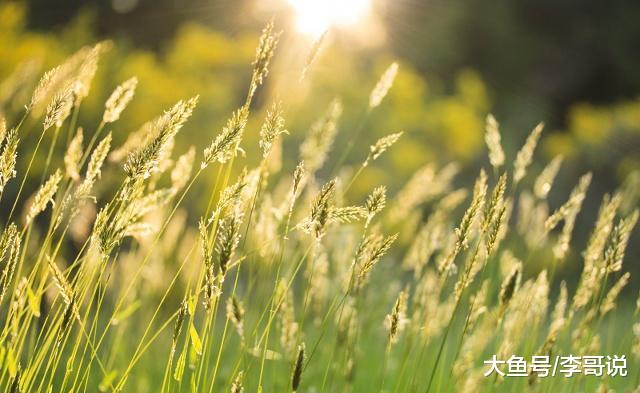 这四种人活得最累，你是哪一种？都看看！