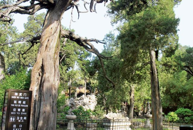 景观设计的代表作：紫禁城御花园，与其内涵的天人合一设计理念