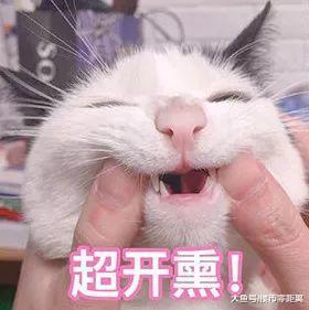 南京高端養老社區精裝二房，僅此1套！房主出國370萬急售！